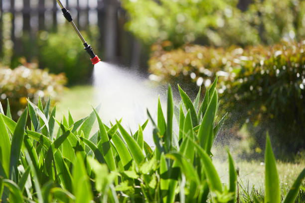 24/7 Emergency Wasp Removal experts in Capitola, CA