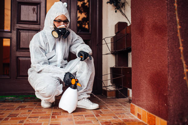 Reliable Wasp Removal contractor in Capitola, CA by Show Me Pest Control